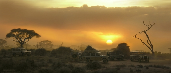 Photograph Tom Wittkemper Landrover Elephant Sunset on One Eyeland